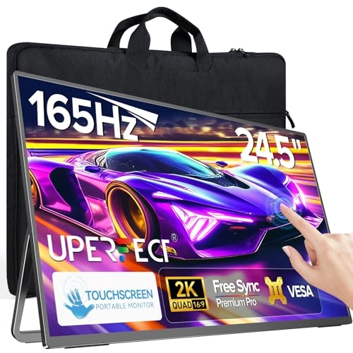 Portable Monitor - 24.5" 2560x1440