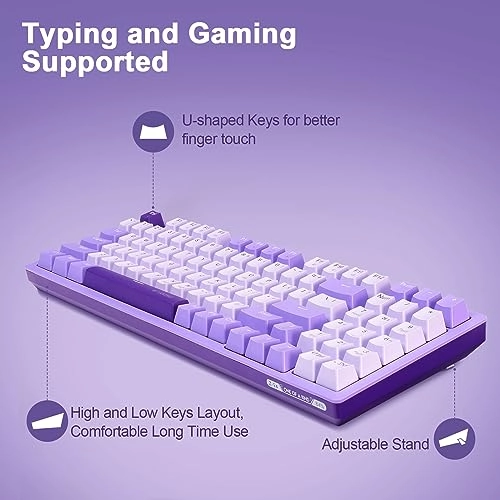 Z-94 - Wired/Wireless