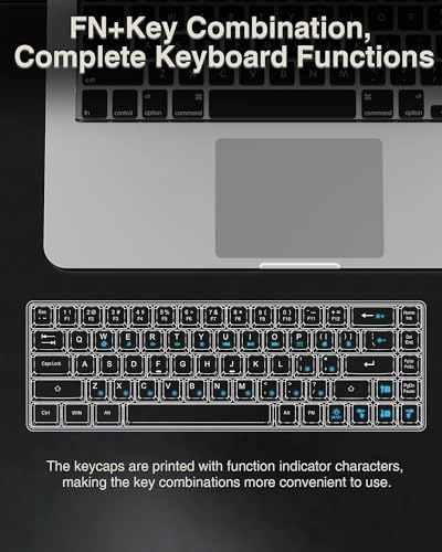 SK968 - 60 Percent Wired