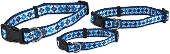 Aspen Pet Ribbon Overlay Dog Collar - 1"X16-26" Dog
