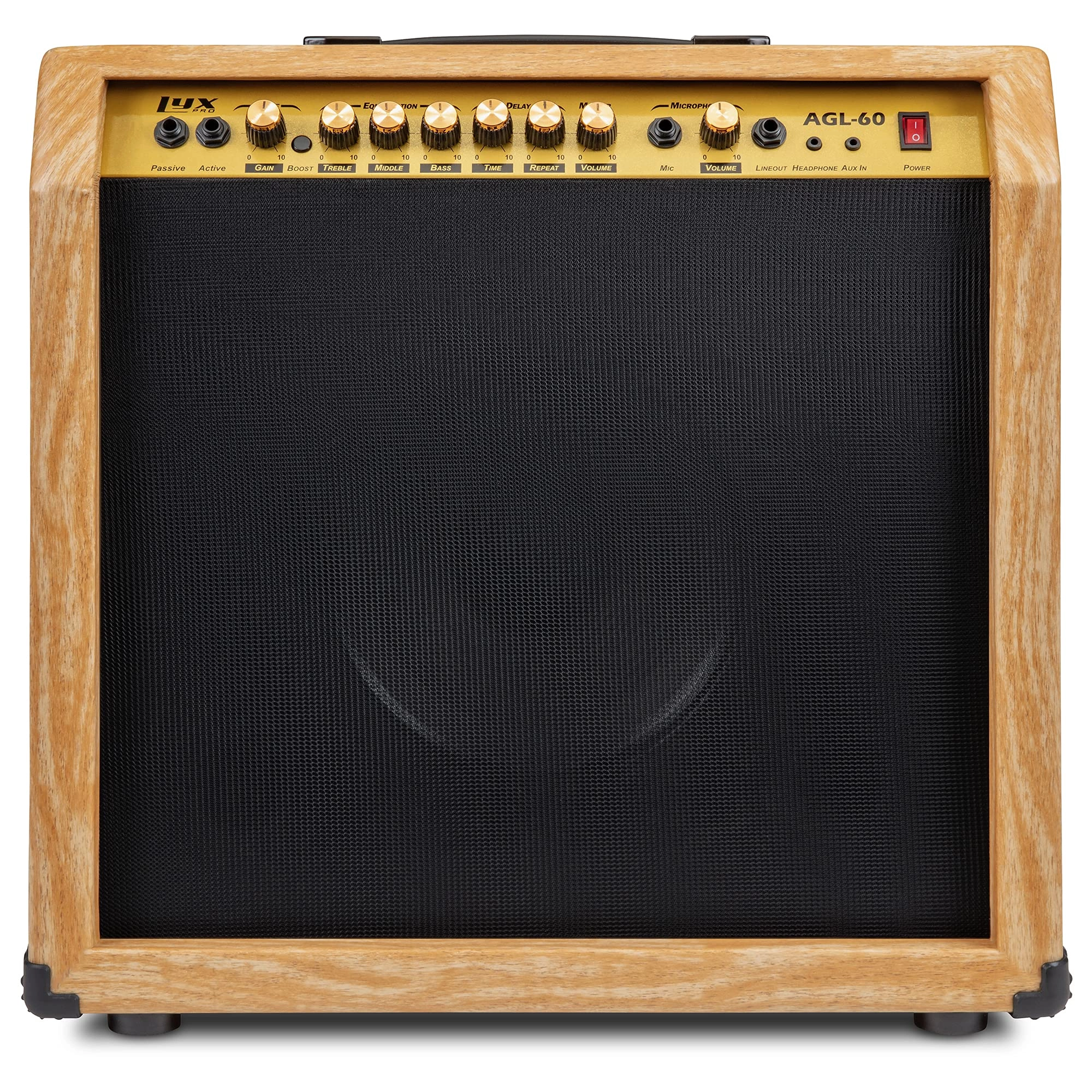 Electric Guitar Amplifier - 60W 10" 4-Ohm Speaker