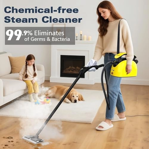 Portable Steam Cleaner - 1.1 Liters
