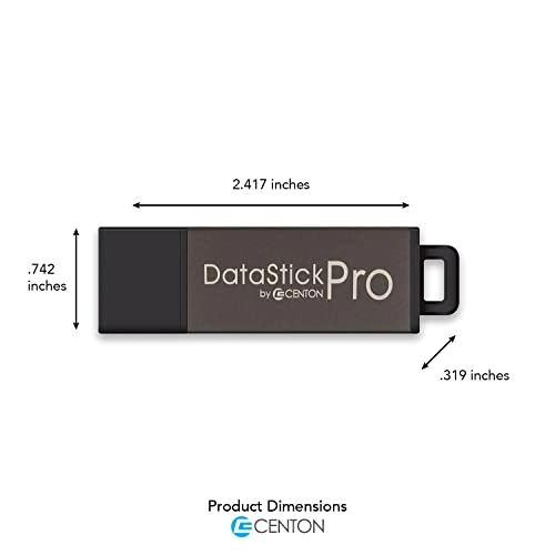 DataStick Pro - USB 2.0 2GB