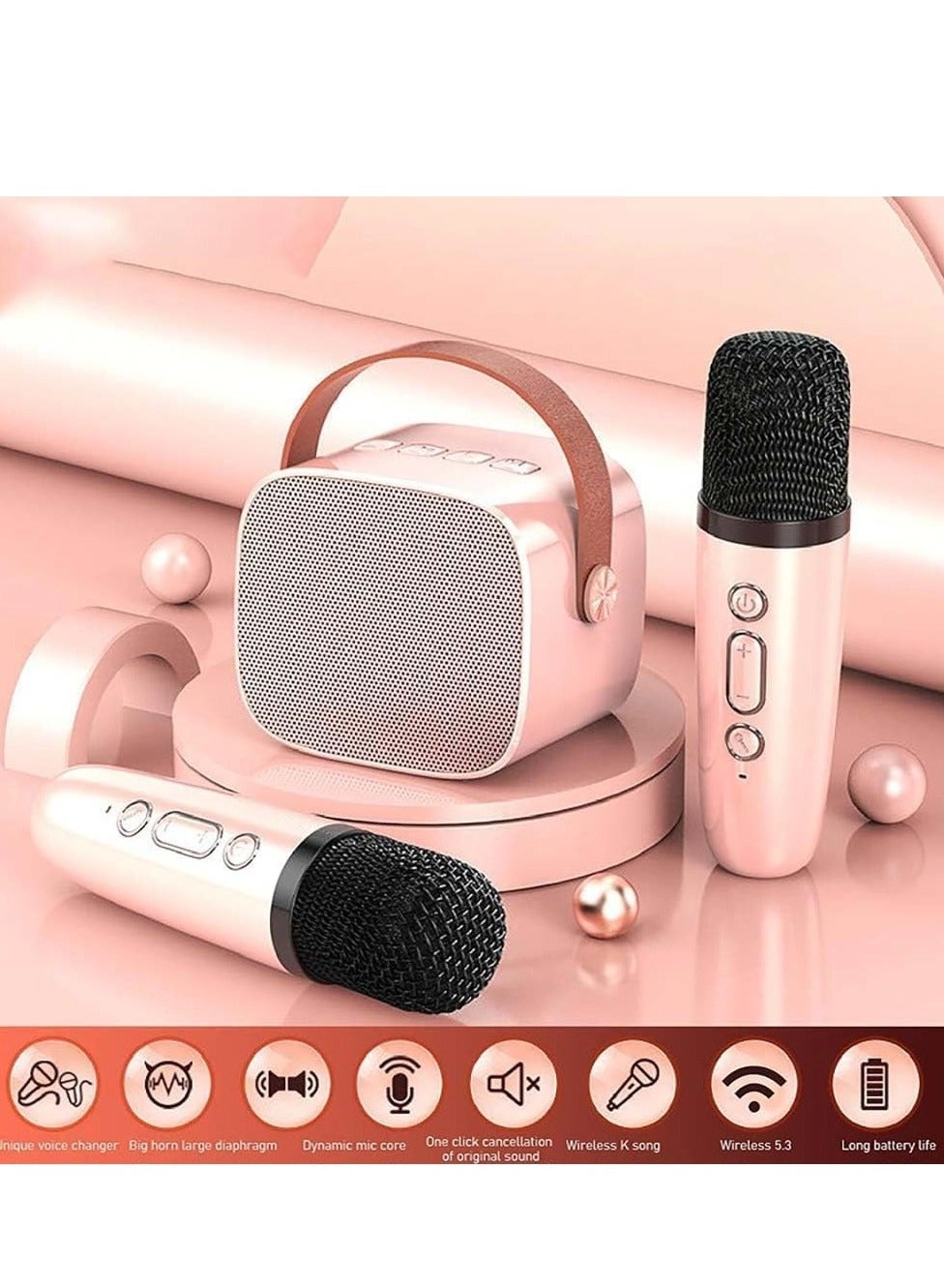 KTS-1000 - 2 Wireless Mics