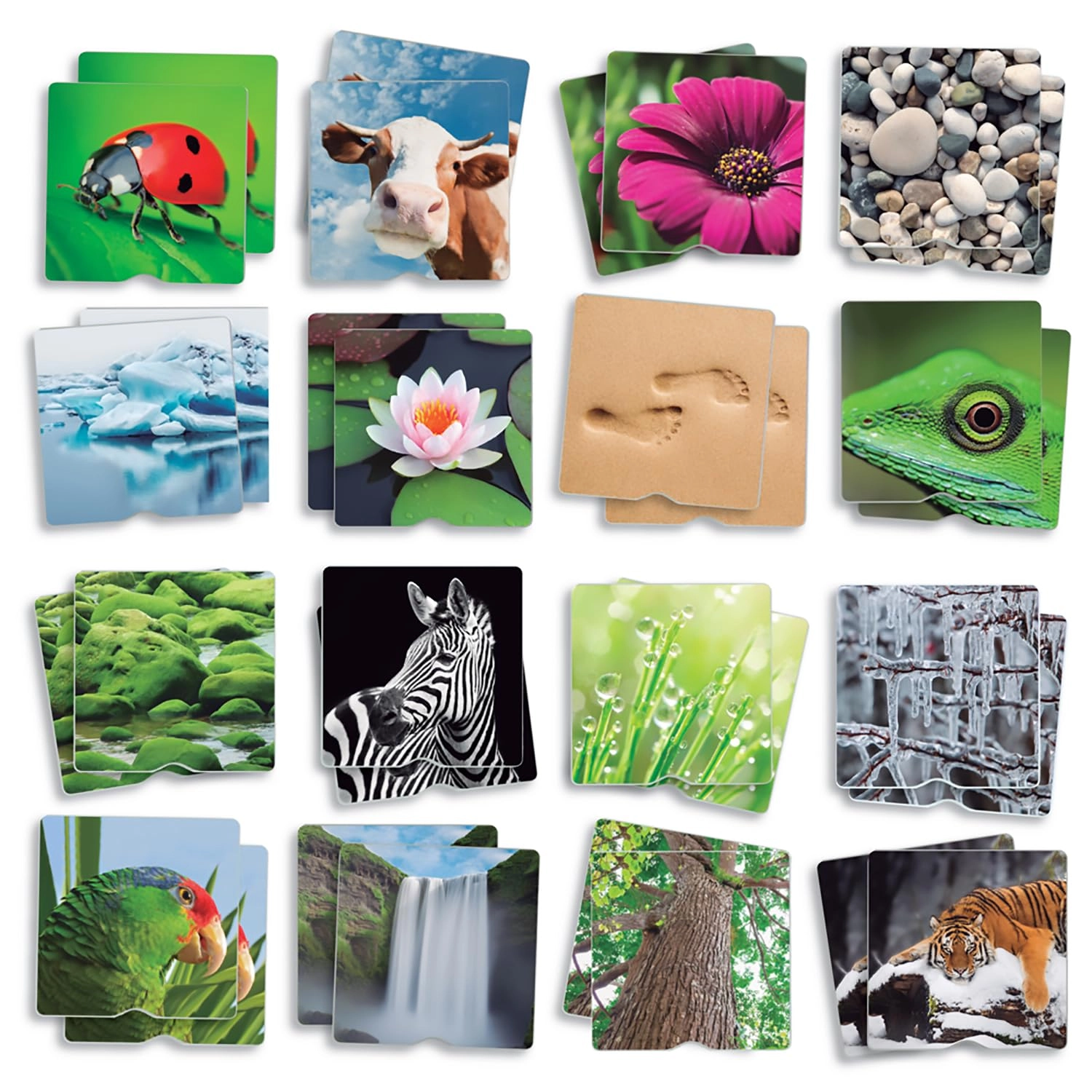 AKROS INTERDIDAK SL Tactile Maxi-Memory Nature The Senses - 3 years To 8 years 1 pieces