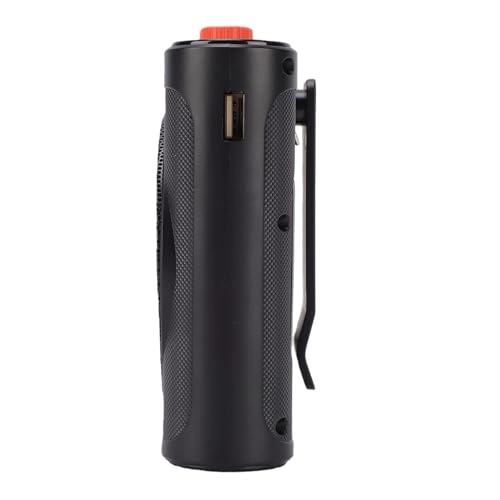 Voice Amplifier + Lavalier Microphone Wireless+USB Microphone