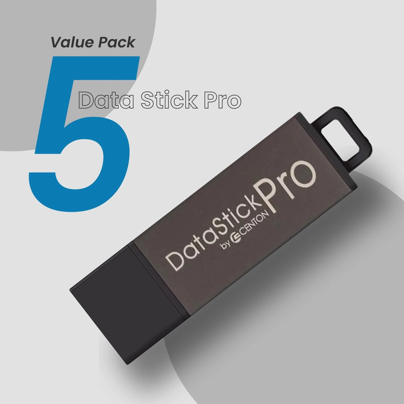DataStick Pro - USB 20 2 GB Bulk Pack