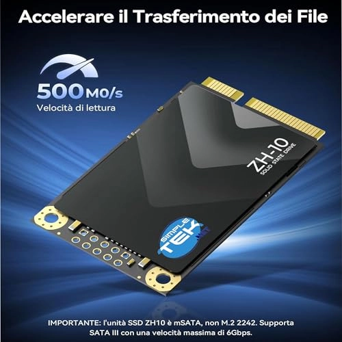 ZH-10 - 512GB mSATA