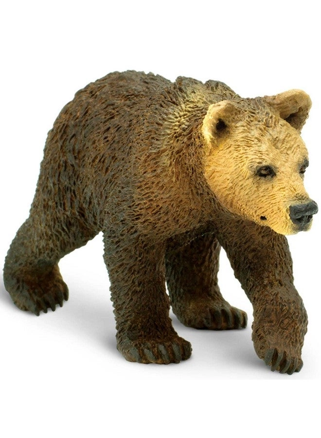 Safari Ltd Grizzly Bear Cub