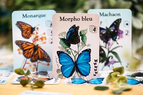 Celestial Butterflies (French)