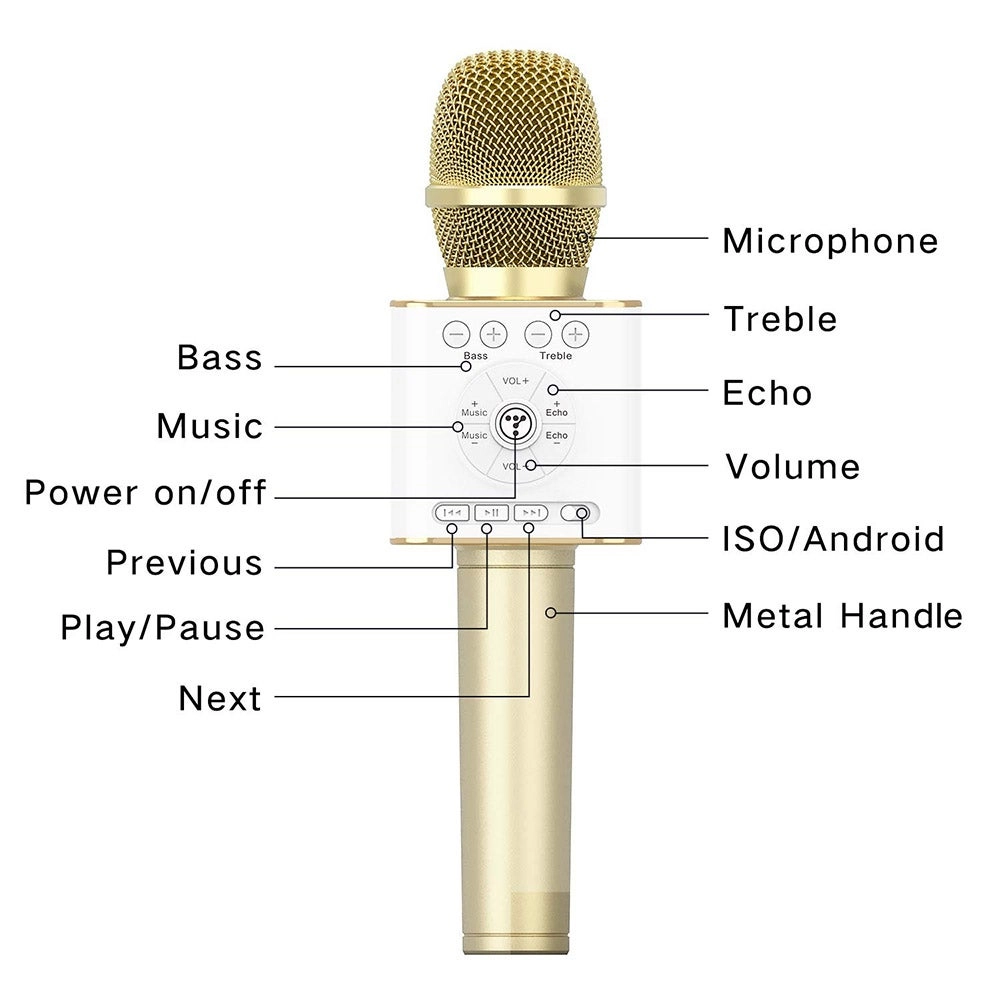 V7784G_P Wireless Microphone 2-In-1 Karaoke