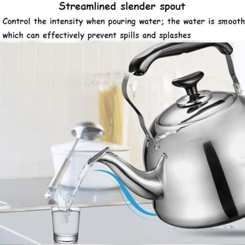 Stovetop Induction Whistling Kettle - 5L