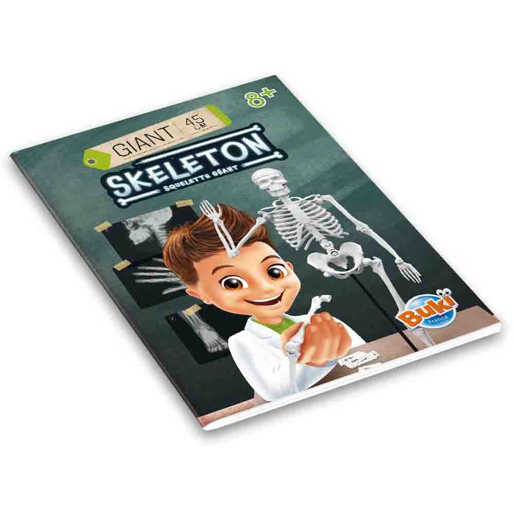 Skeleton - Anatomy - 8 to 13 years+