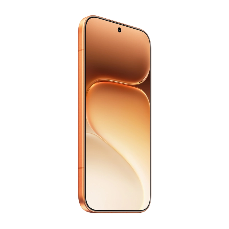600 pro 12GB 512GB