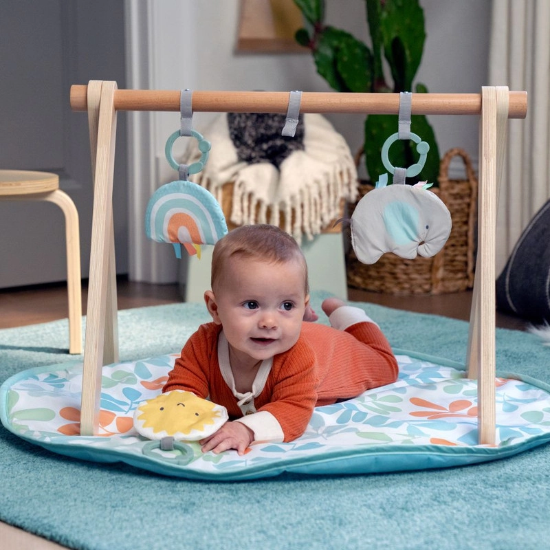 Sun Valley Wooden Toy Arch & Play Mat & Gym - 0 months