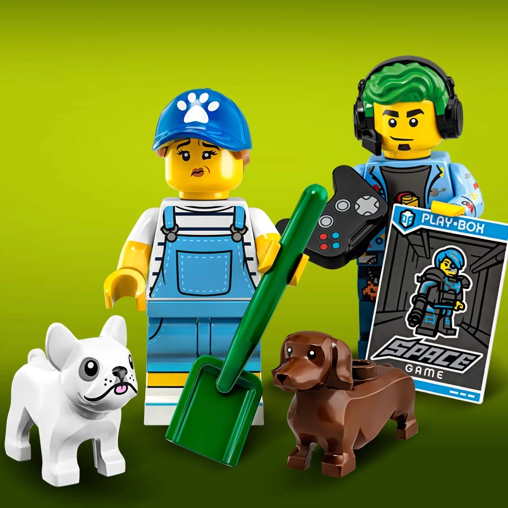 Minifigure Series 19 (71025) - Video Game Champ