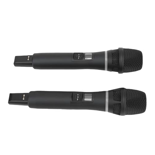 Dual Wireless Microphone