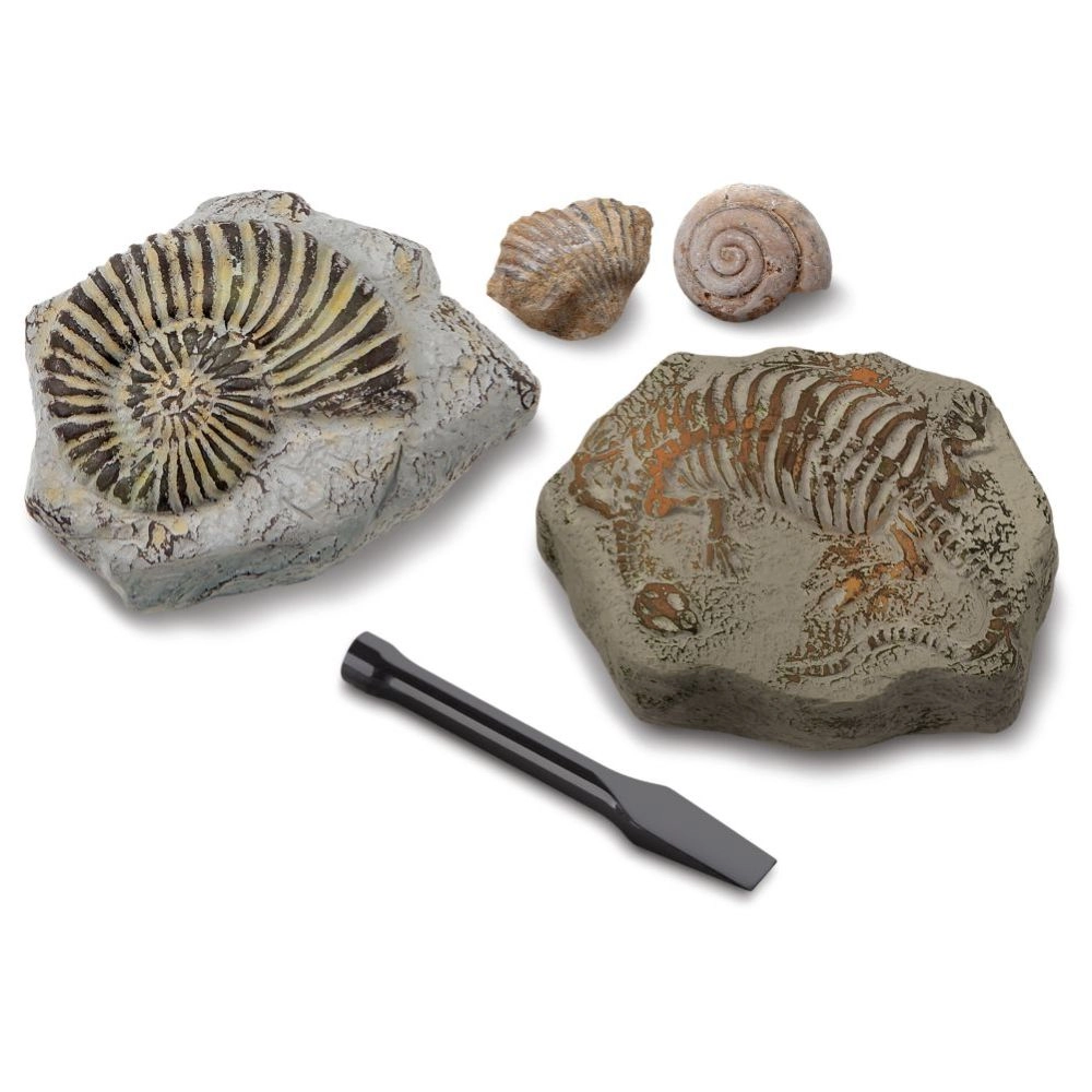 Mindblown Shark Teeth Unearthed Mini Excavation Kit Archaeology Science - 6 years+ 2 pieces