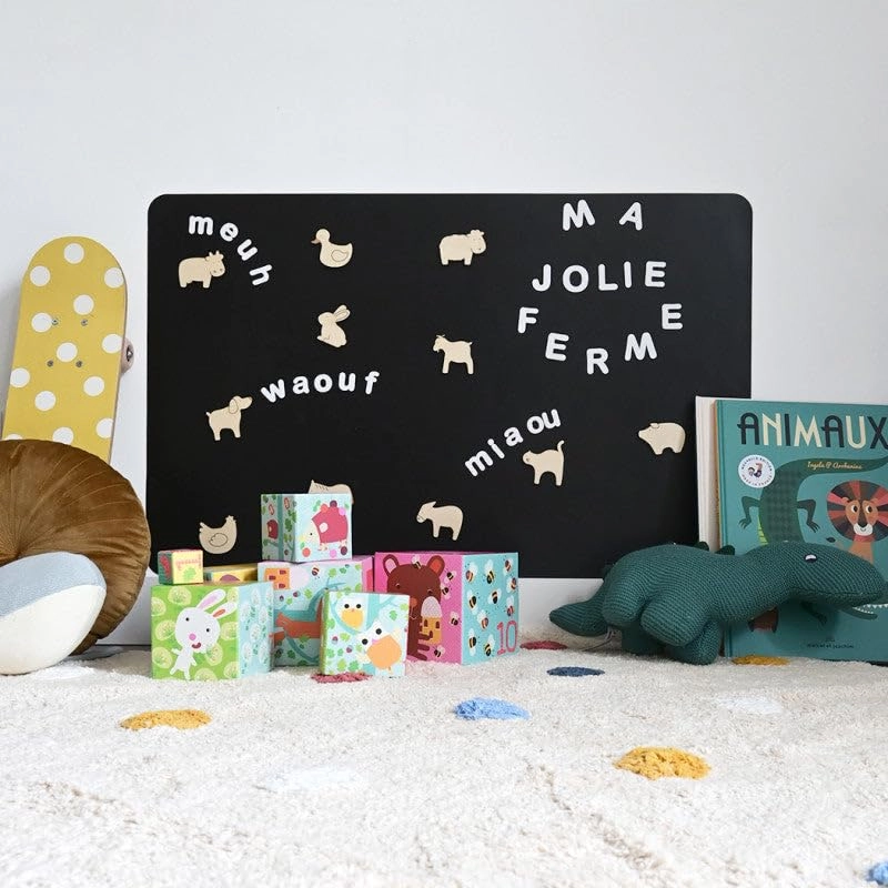 Magnetic Wooden Game - 3 Years 11 pieces