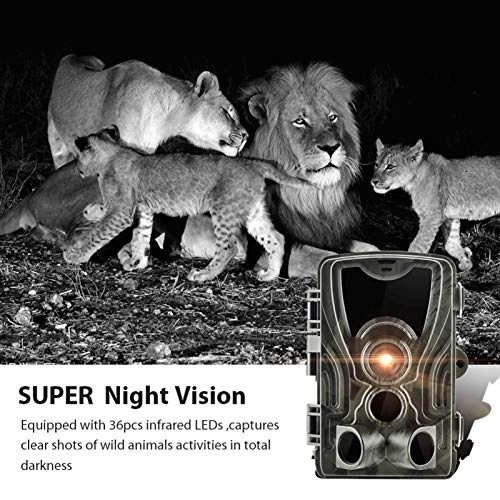 Hunting Trail Camera - 4G 16MP