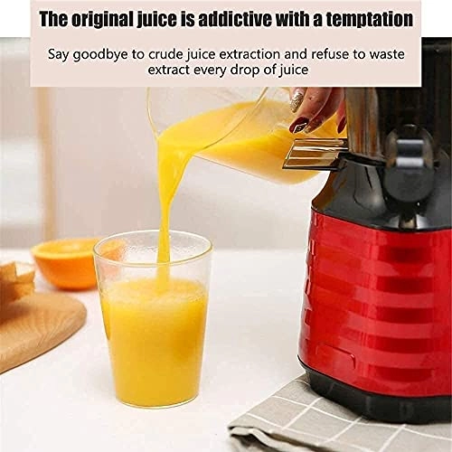 Slow Masticating Juicer - Cold Press Portable