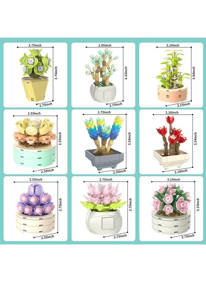 Flowers Succulents Botanical Collection - 750 pcs