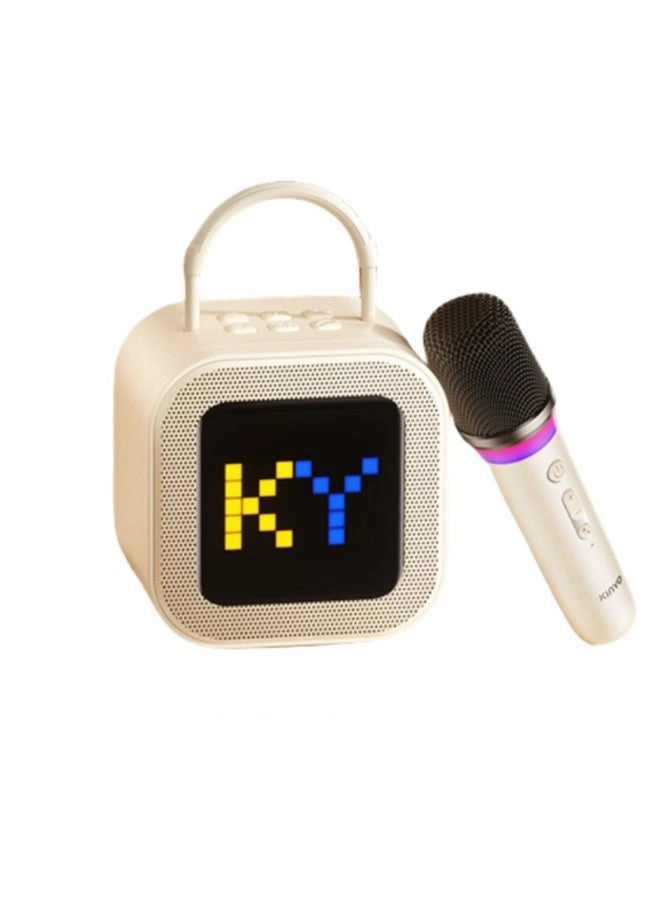 LED Bluetooth Karaoke Speaker - Dual Microphones