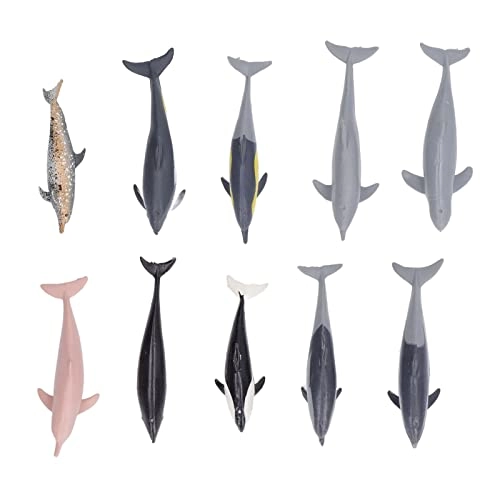 Dolphin Model Toy Science - 4 years and up 10 pieces