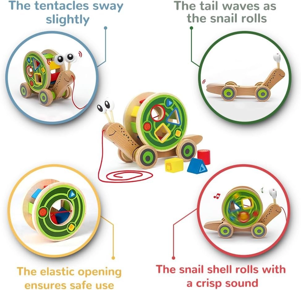 Walk A Long Snail Pull Toy