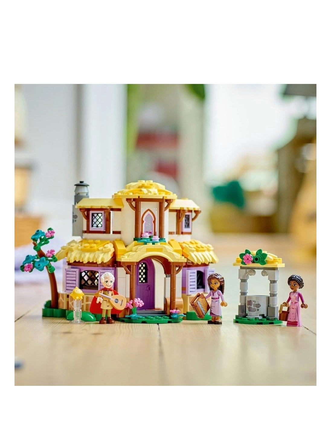 Disney Wish Asha's Cottage (43231)