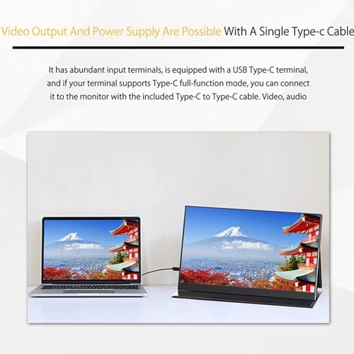 Portable Display - HD 14 Inches