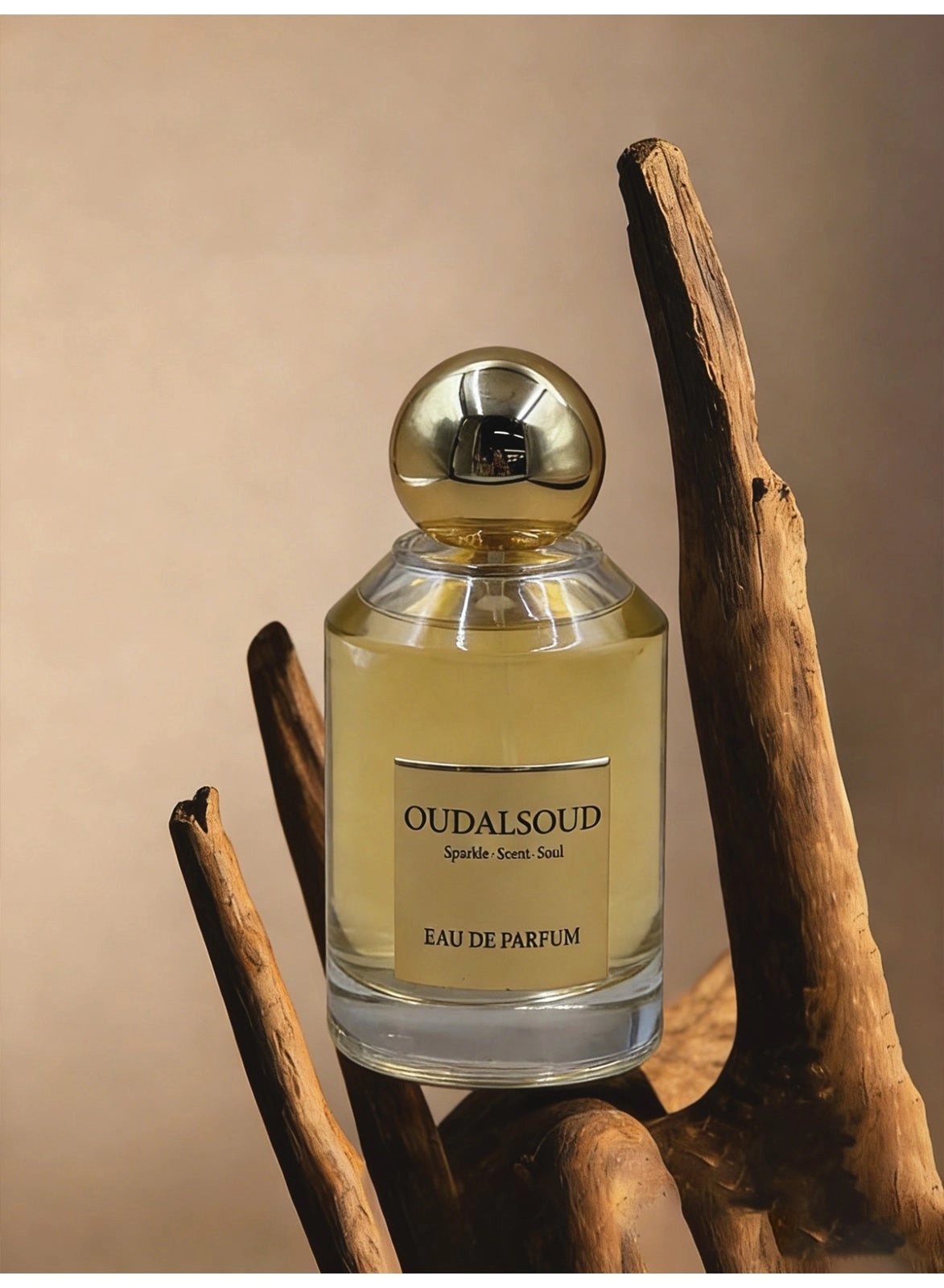 Oriental Oud Leather Eau de Parfum - 100ml