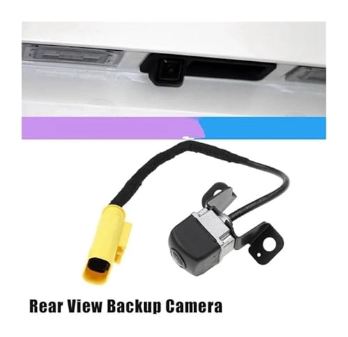 Rear View Camera - Night vision