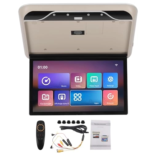 Car Roofmount LCD Monitor - 19 Inches