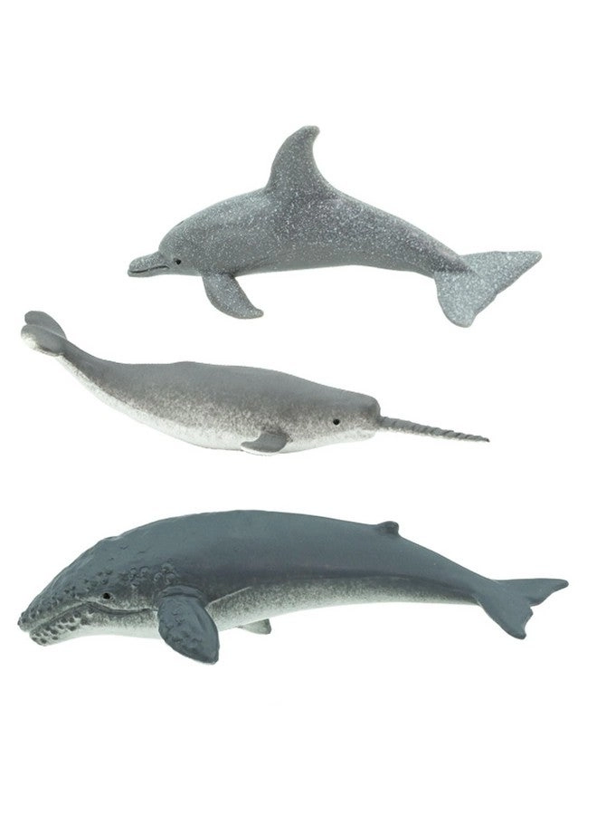 Whales & Dolphins TOOB - 12 pcs