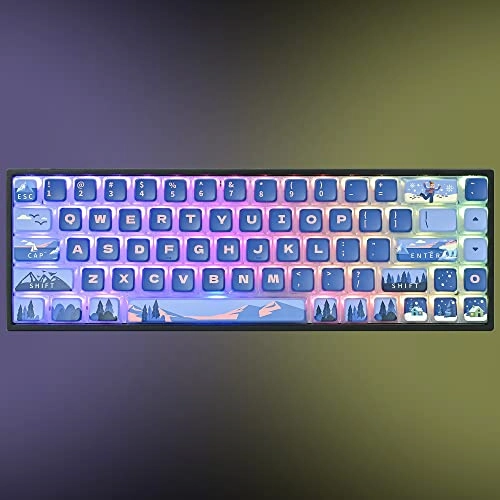 ASA Custom keycaps - 118 Keys PBT