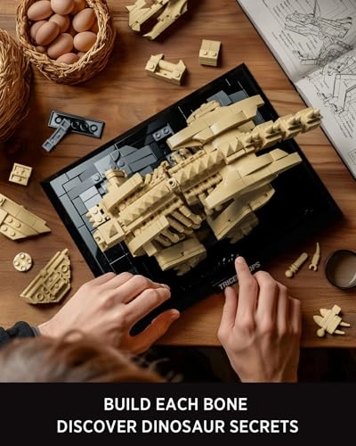 Triceratops Fossil Model Set