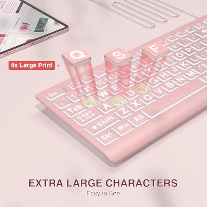 LARGE PRINT BACKLIT KEYBOARD