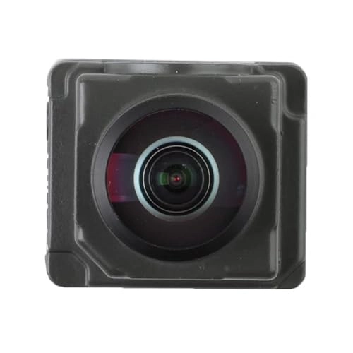 31445951 - Night Vision