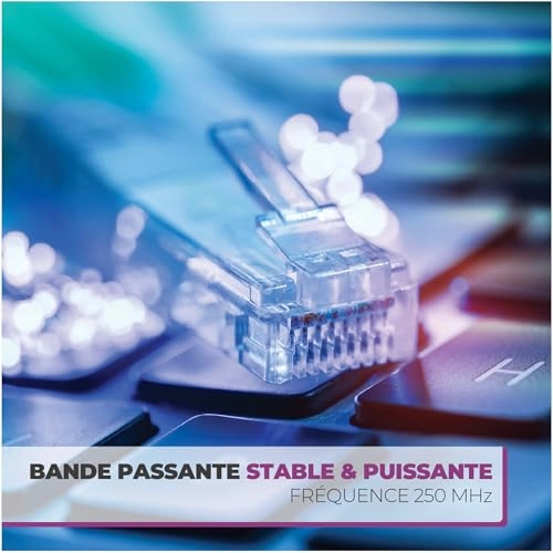 Cat 6 Ethernet Cable - 30m