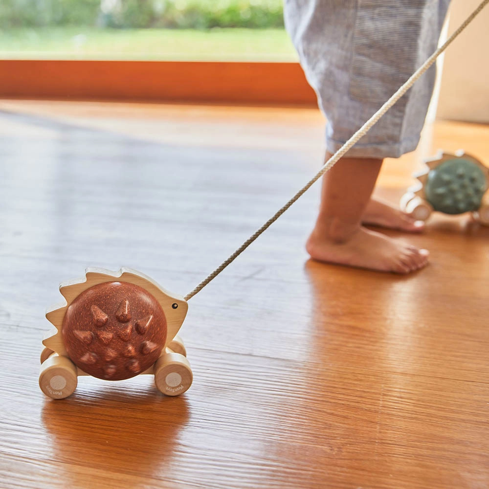 Pull-Along Hedgehog