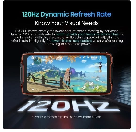 BV9300 Pro - 24 GB 24 GB