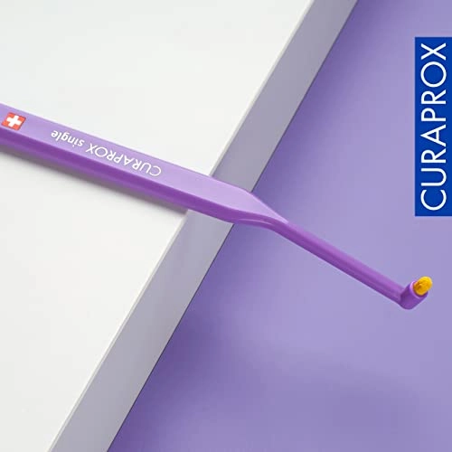 CS 1006