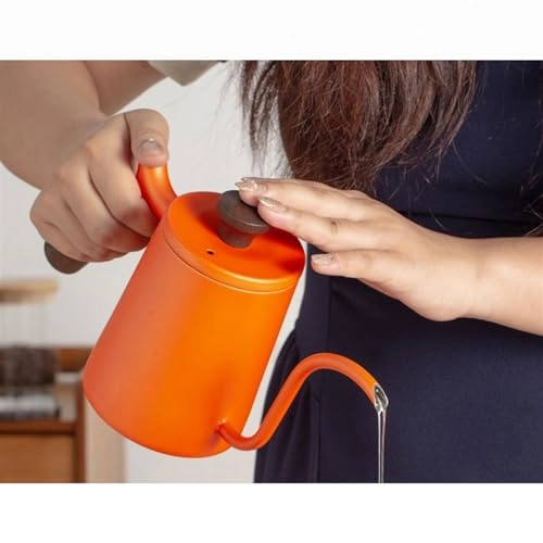 Kettle - 550ml Gooseneck
