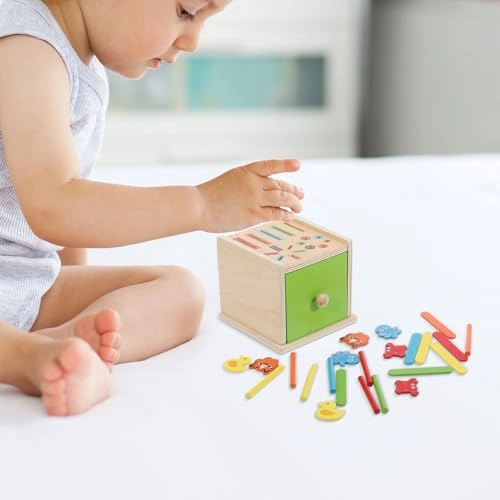 Wooden Color Matching Toy - 15 years and up