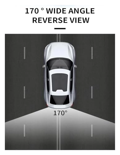 Reverse Camera - 648*488 pixels