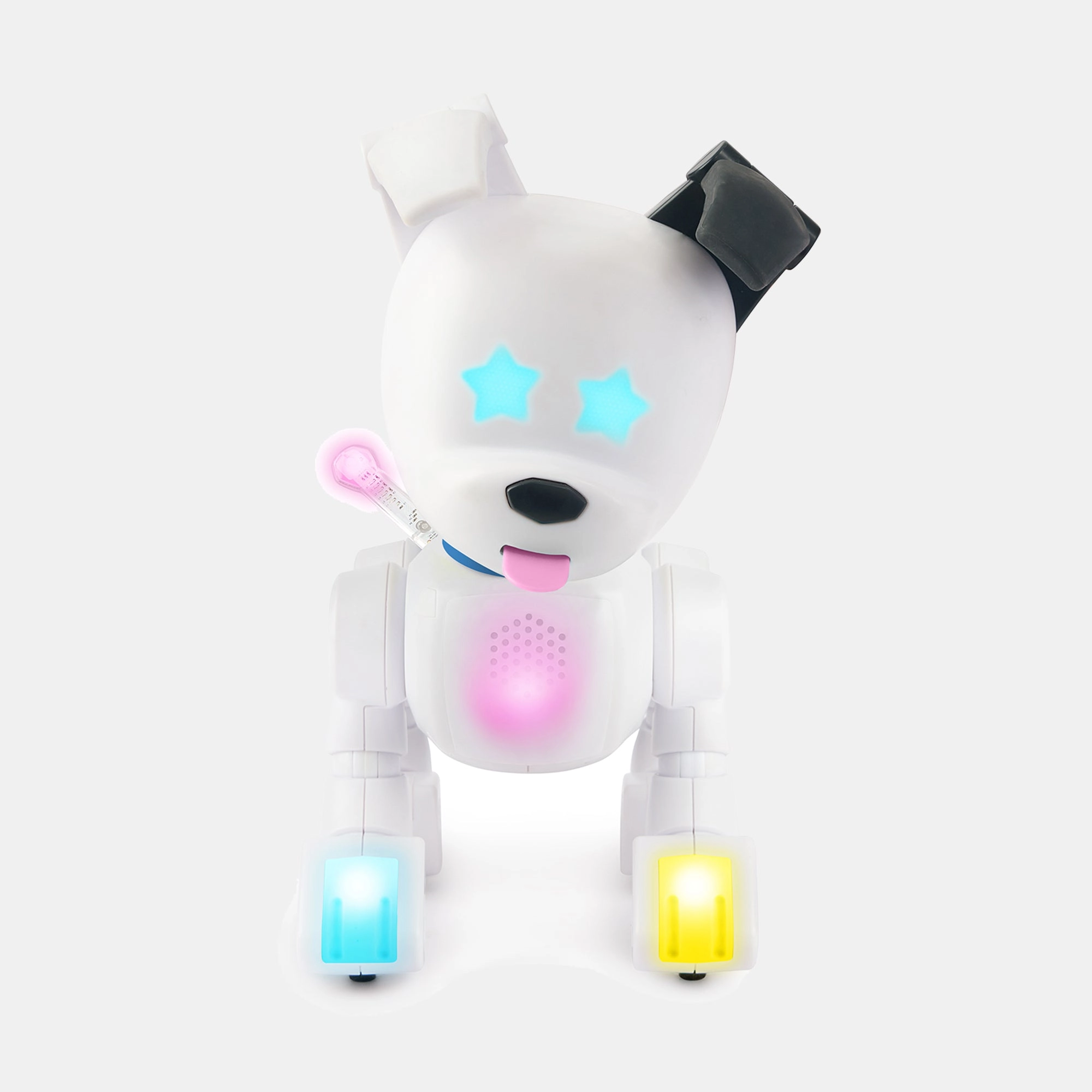 Mintid Dog‑E
