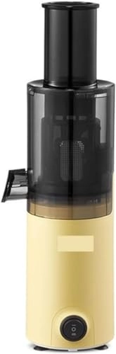 Portable Electric Juicer - Masticating Slow Auger Water-Free