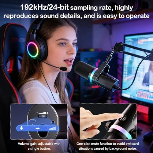 YQW0056 XLR+USB Microphone