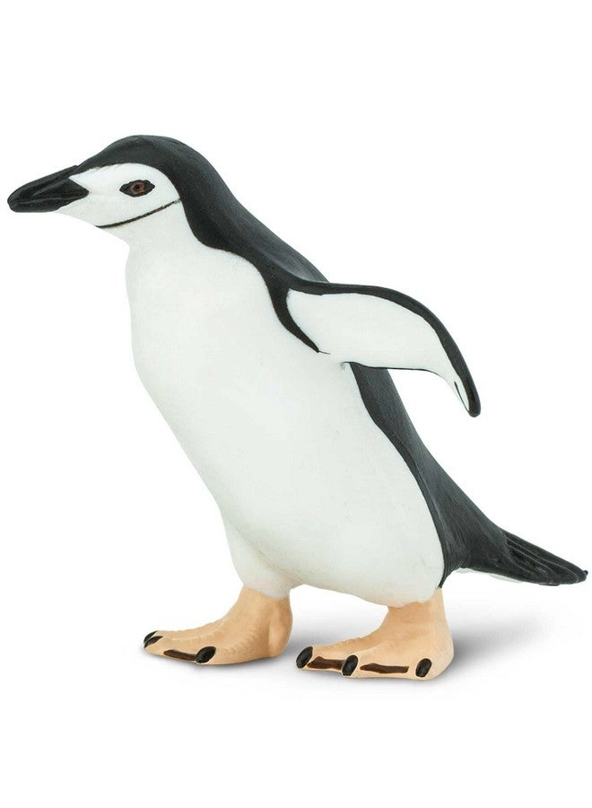 Chinstrap Penguin